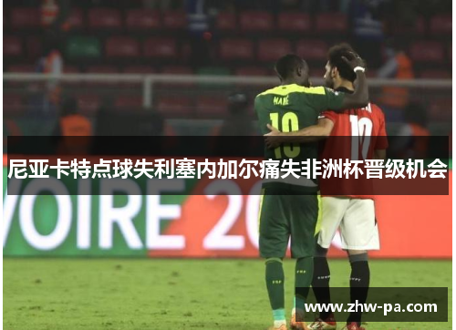 尼亚卡特点球失利塞内加尔痛失非洲杯晋级机会